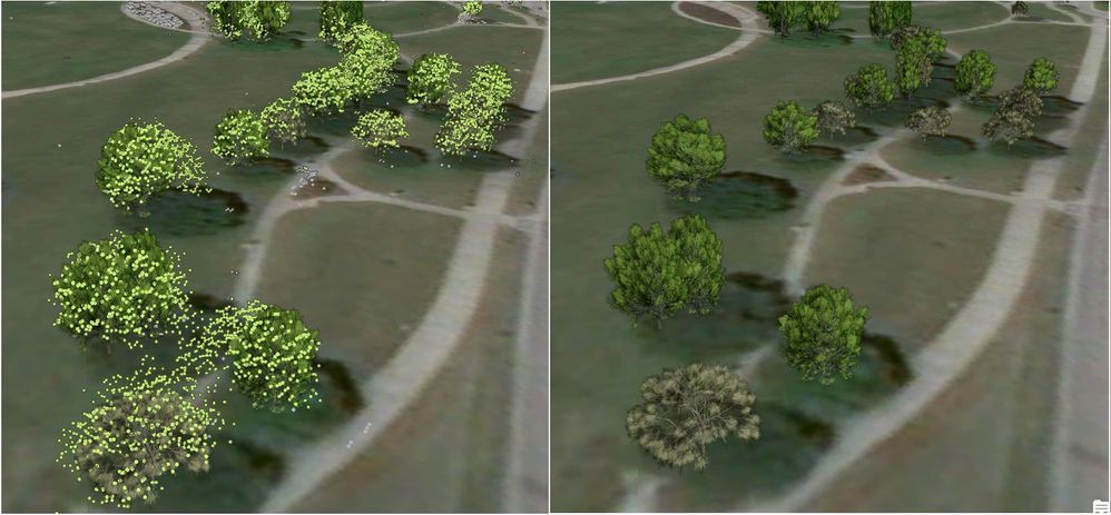 Extracting tree location, height and width using density based clustering.