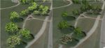 Extracting tree location, height and width using density based clustering.