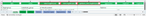 ZacharySutherby_2-1723761192557.png