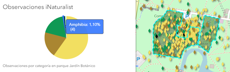 Grafico - resultado torta.png