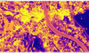 JanTschada_0-1726684993223.png