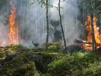 calculate-landslide-risk-for-communities-affected-by-wildfires.png