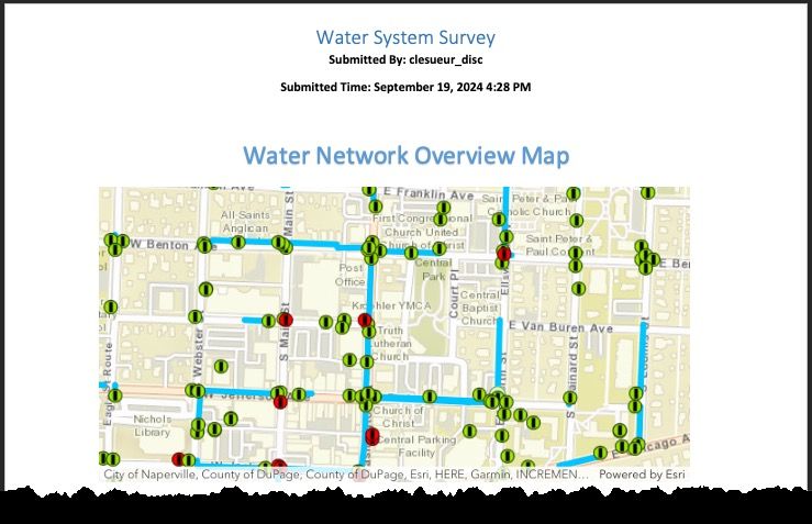 Report with Image.jpg