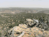 ypn_blog_animatedgif.gif