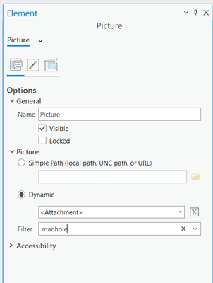 AubriKinghorn_0-1728584937950.png
