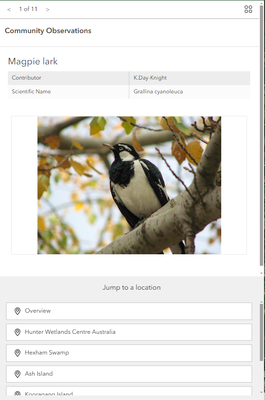 JeffreyThompson2_1-1729256903253.png JeffreyThompson2_1-1729256903253.png