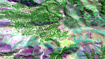 HongXu_0-1731431748173.png