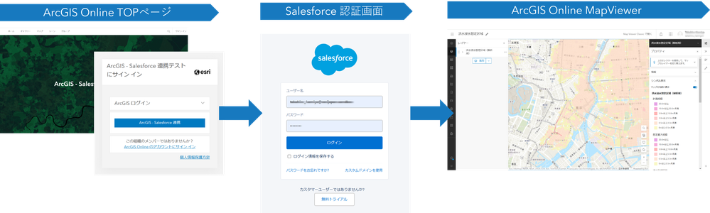 ArcGIS-Salesforce.png
