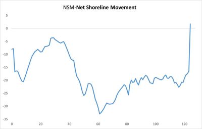 NSM