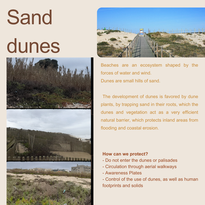 dunas (Inglês).png