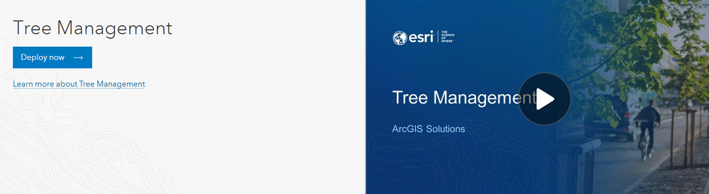 tree-management-solution.png