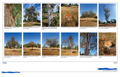 Screenshot 2025-02-04 162334.png