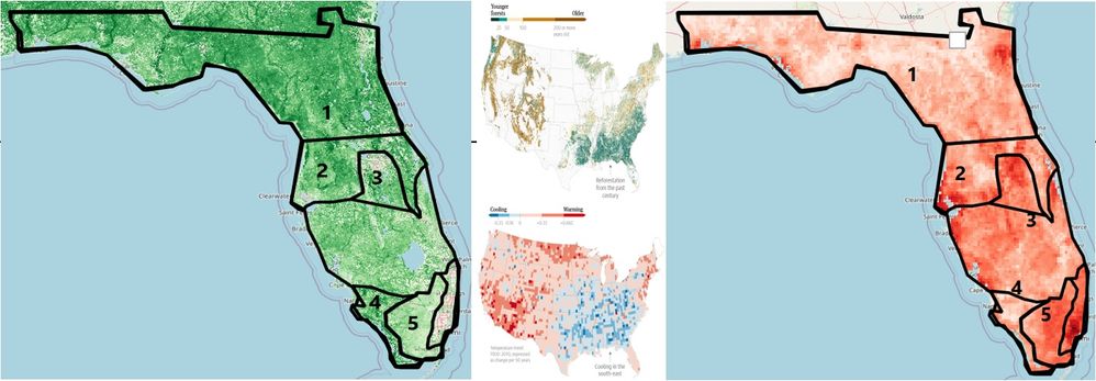 floridaFAPARTemperature.jpg floridaFAPARTemperature.jpg