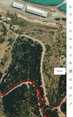 gis_KIWI4_0-1739848139385.png