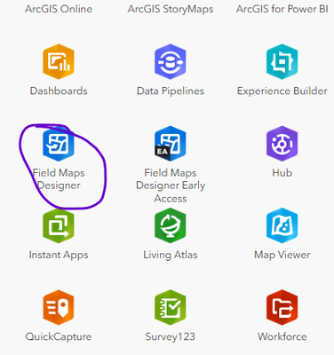gis_KIWI4_2-1739848339445.png