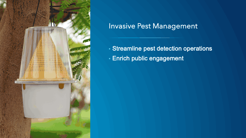 Invasive Pest Management can be used to develop pest trapping plans, perform field inspections, monitor program metrics, and share program information.