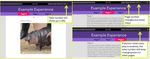 Marisa_Kordecki_0-1741029511972.png