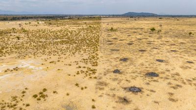 AlexaVlahakis_7-1741189044753.jpeg AlexaVlahakis_7-1741189044753.jpeg