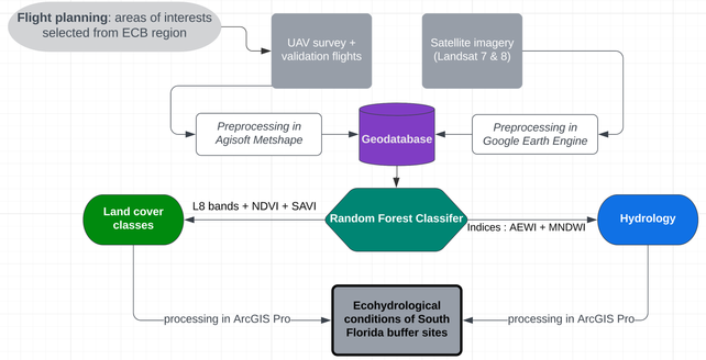 Remote Sensing Workflow.png