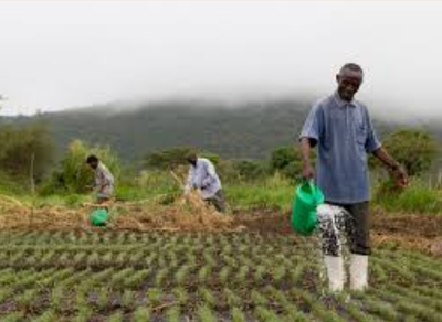 Screenshot_20250424-084918~2.png Screenshot_20250424-084918~2.png