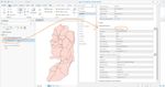 Clip_514.jpg