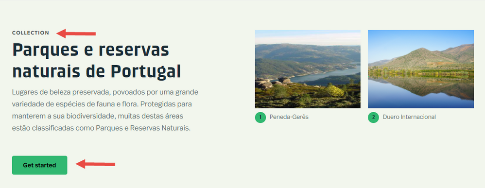 Collection in Portuguese with browser language set to English