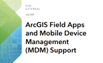 MDM.png
