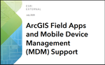MDM.png