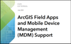 MDM.png