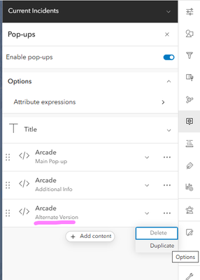Arcade Expression Options.png