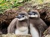 AdobeStock_1413520198.jpeg
