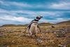 AdobeStock_354120078.jpeg
