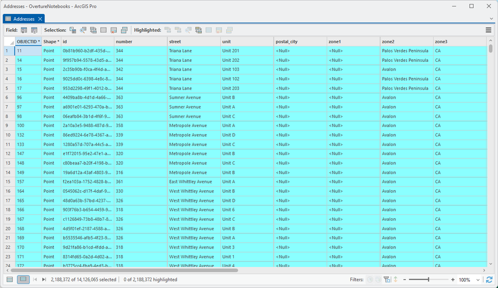 Consistent casing of text fields