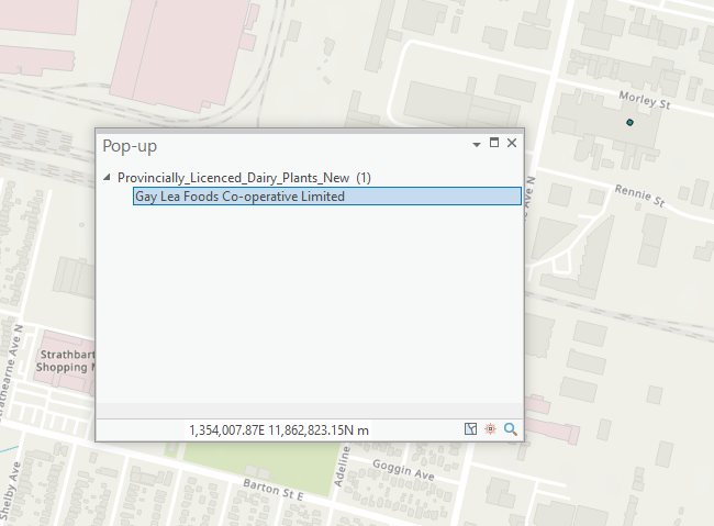 Solved: Pop up not displaying data in ArcGIS Pro - Esri Community