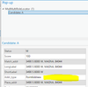 JoeBorgione_1-1622130680418.png