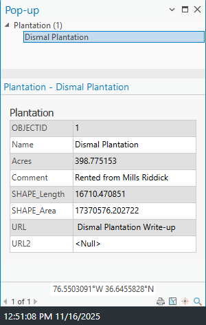 Popup for Dismal Plantation