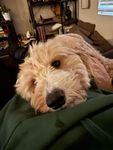 Profile (BirdsEyeView)