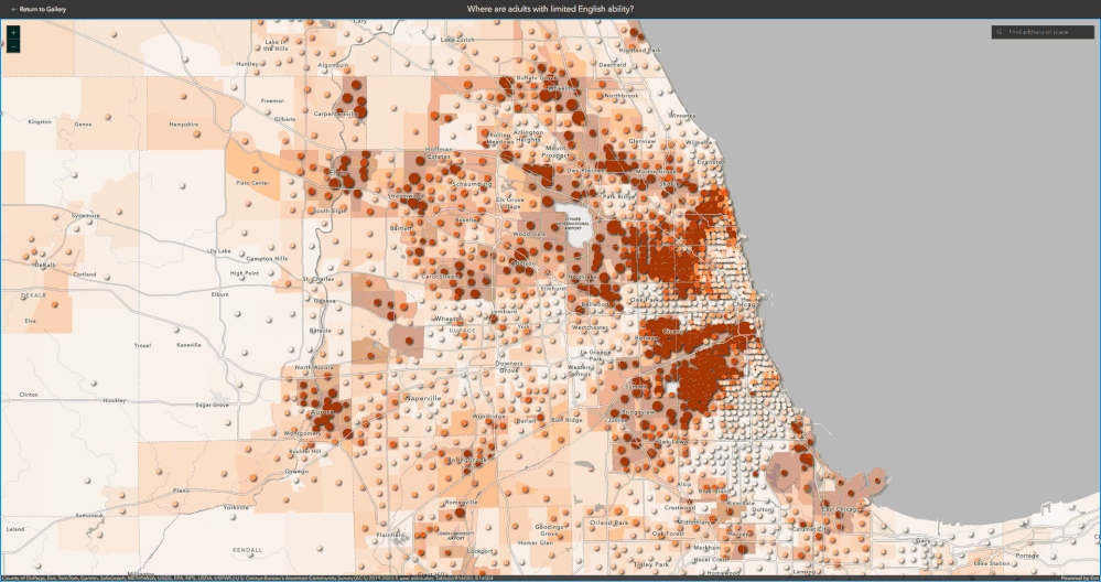languages.gif languages.gif
