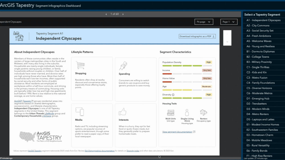 Tapestry Dashboard.gif