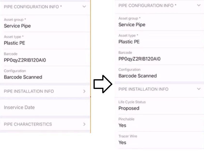 ArcGIS Field Maps Smart Form example