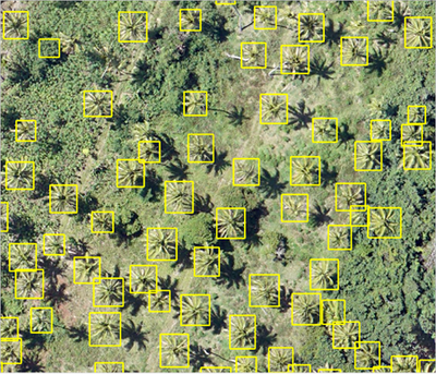 GUID-11E5DCCE-293C-45DF-A037-FAE9E08FAC9D-web.png