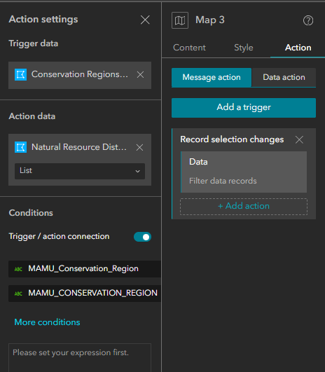 Map: Filter Data Action