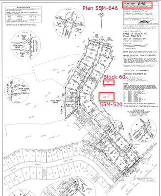 DavidHendry_0-1772811093384.png