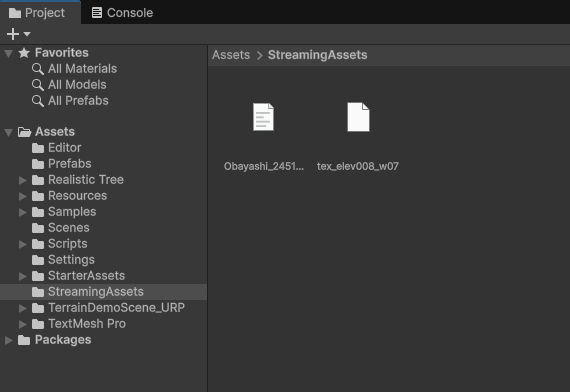 StreamingAssets フォルダー