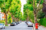 adobestock-181528131-25p.jpeg