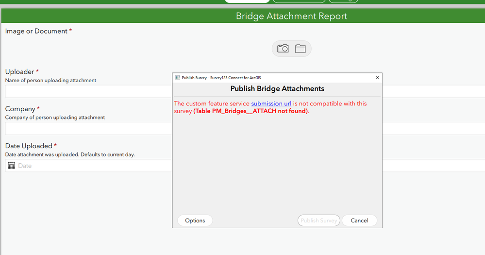 bridge survey.png