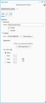 AlyciaRajendran_esri_0-1779217916714.png