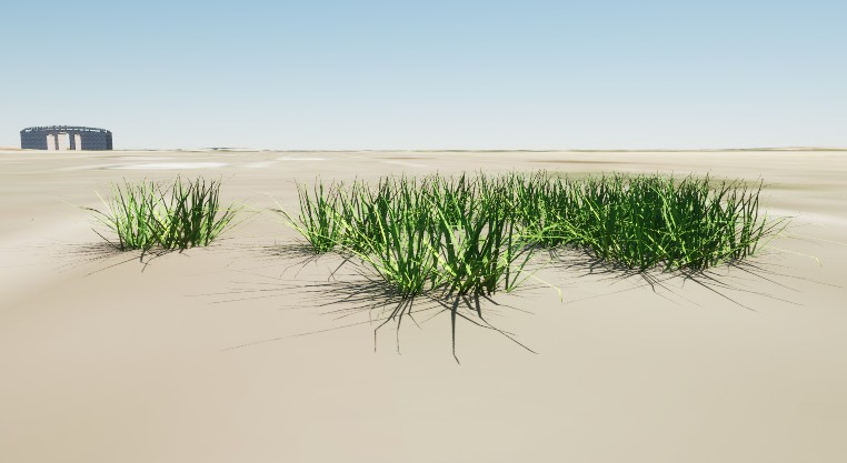 Initialize Grass