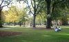 University of South Carolina - Historic Horseshoe in the center of campus