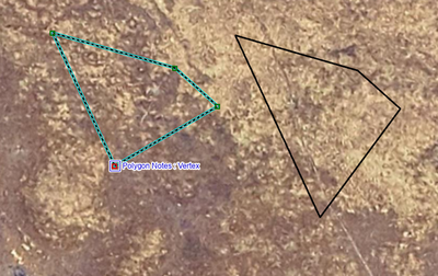 HollyTorpey_LSA_0-1784137866036.png